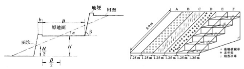 QQ图片20230621152819.png
